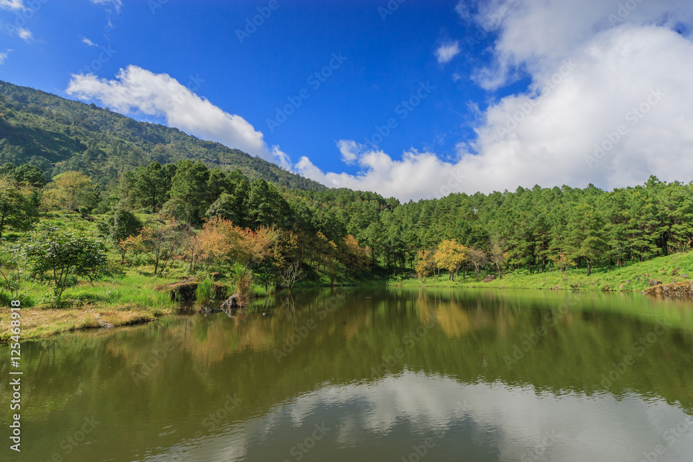 Moutain Moutain