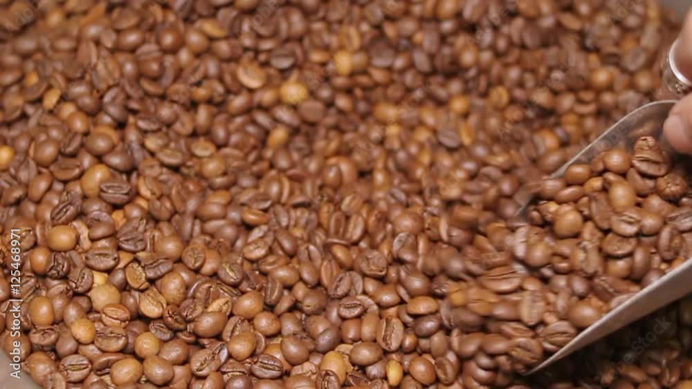 coffee beans coffee beans