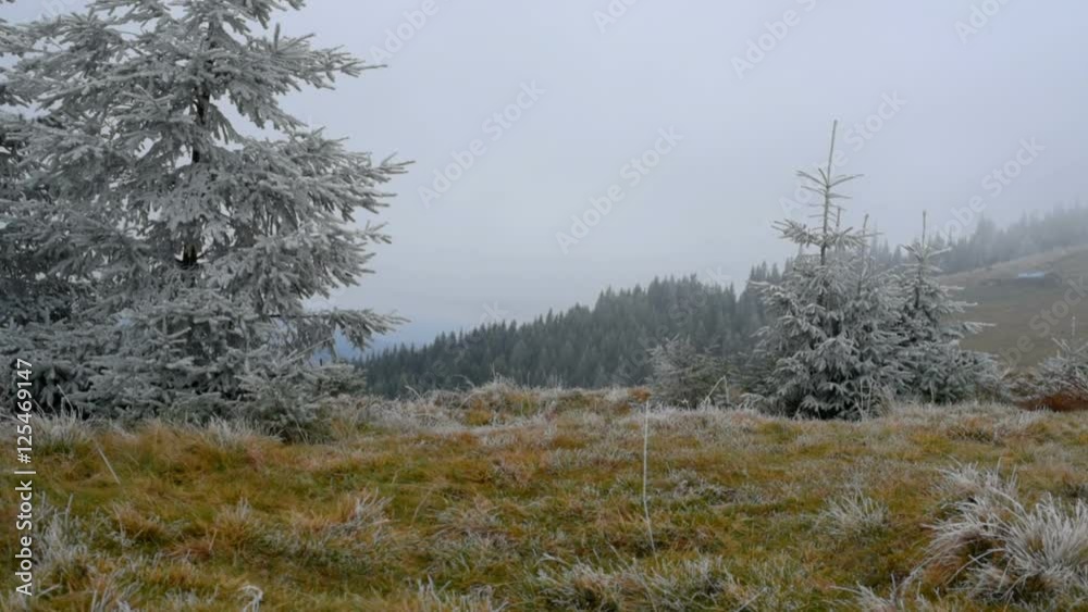 Frosty misty morning Frosty misty morning