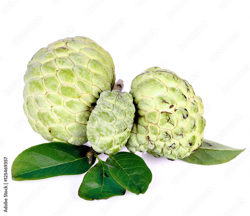 Obraz premium Custard apple fruit on white background
