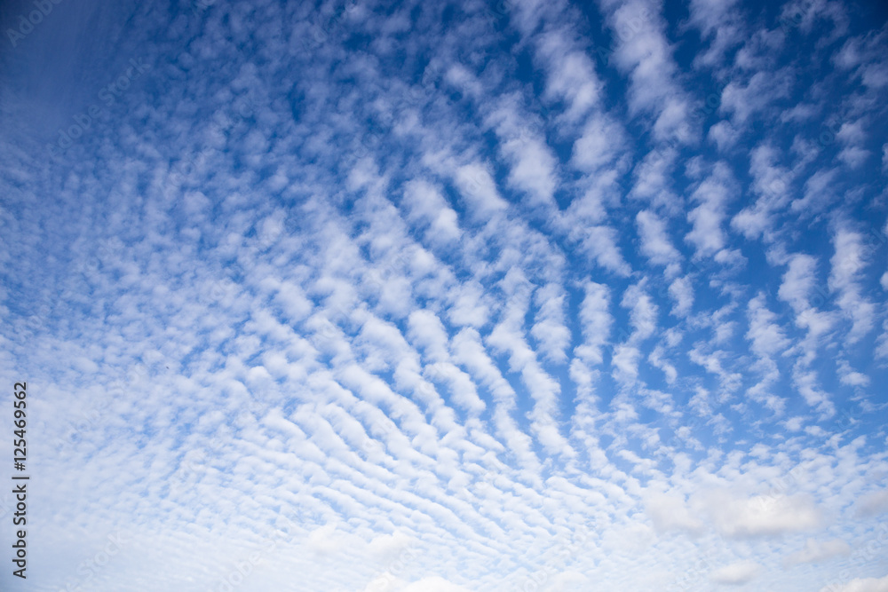 Cirrocumulus Wolken über Ostfriesland Cirrocumulus Wolken über Ostfriesland