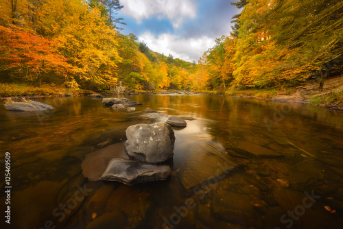 Neversink Gorge