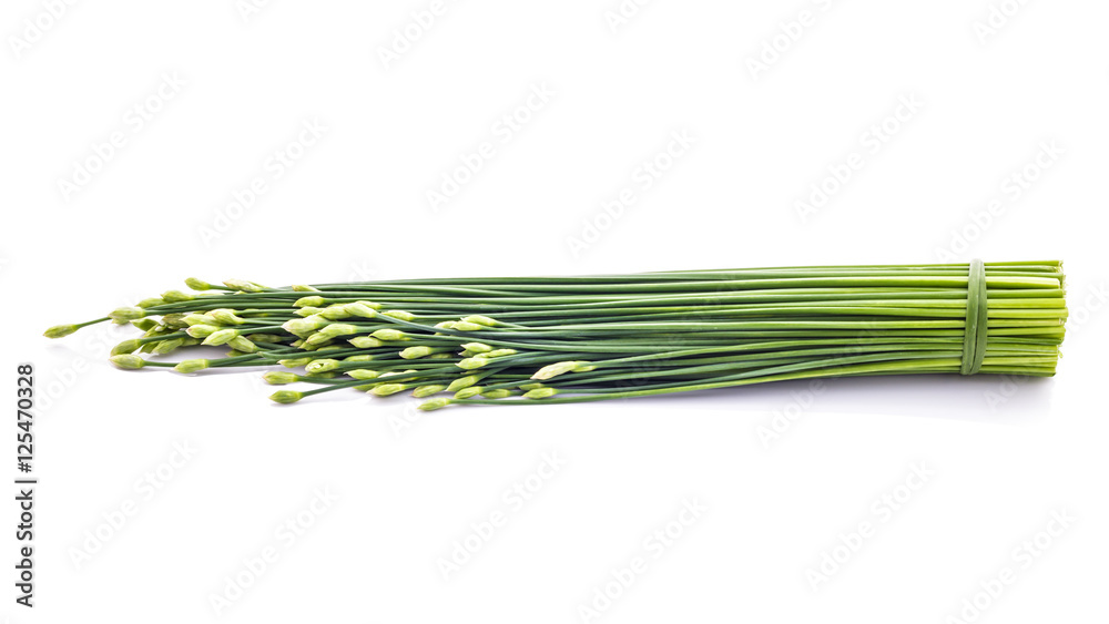 Chives flower or Chinese chive isolated on white background. Edi Chives flower or Chinese chive isolated on white background. Edi