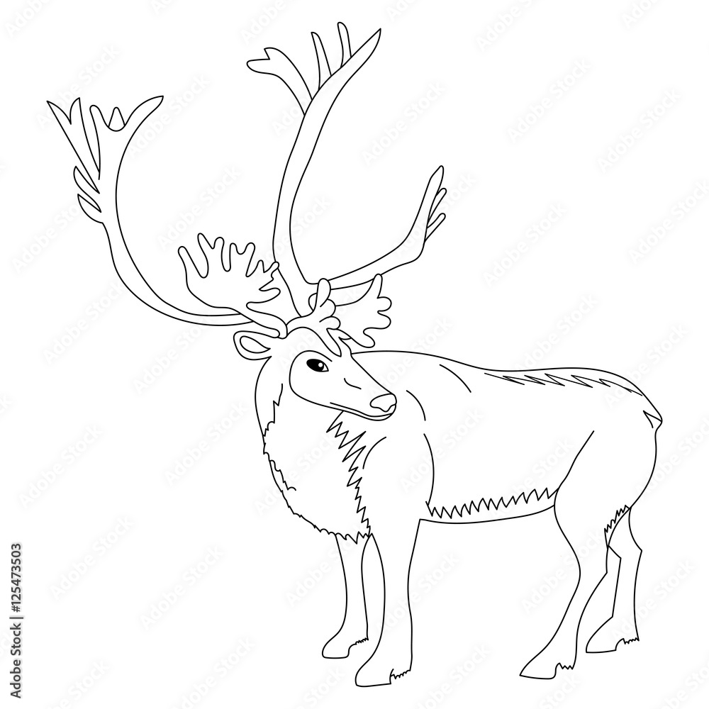 Obraz premium Hand Drawn Reindeer. Sketch Cute Deer Isolated on White. Vector Illustration.