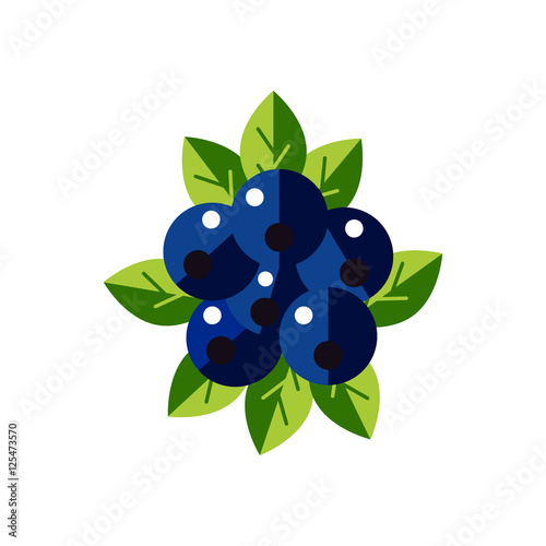 Vector Ripe blueberry icon. Flat Berries with green leaves isolated on white background.