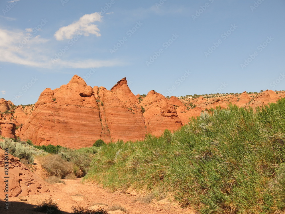 slot canyon, Grand Staircase-Escalante, Utah, USA slot canyon, Grand Staircase-Escalante, Utah, USA