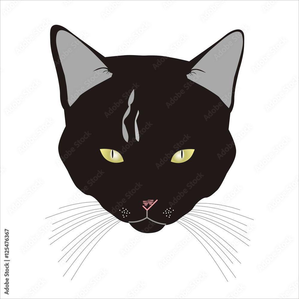 Head of a black cat. Vector Head of a black cat. Vector
