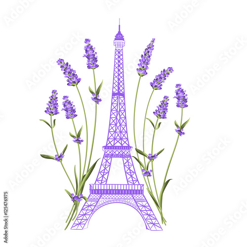 Eiffel tower with lavender flowers isolated over white background. The lavender elegant card. Eiffel tower symbol with spring blooming flowers for wedding invitation. Vector illustration.