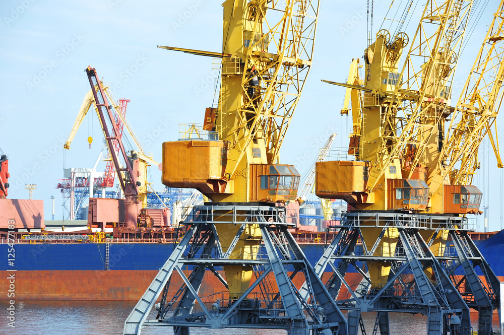 Bulk cargo ship under port crane