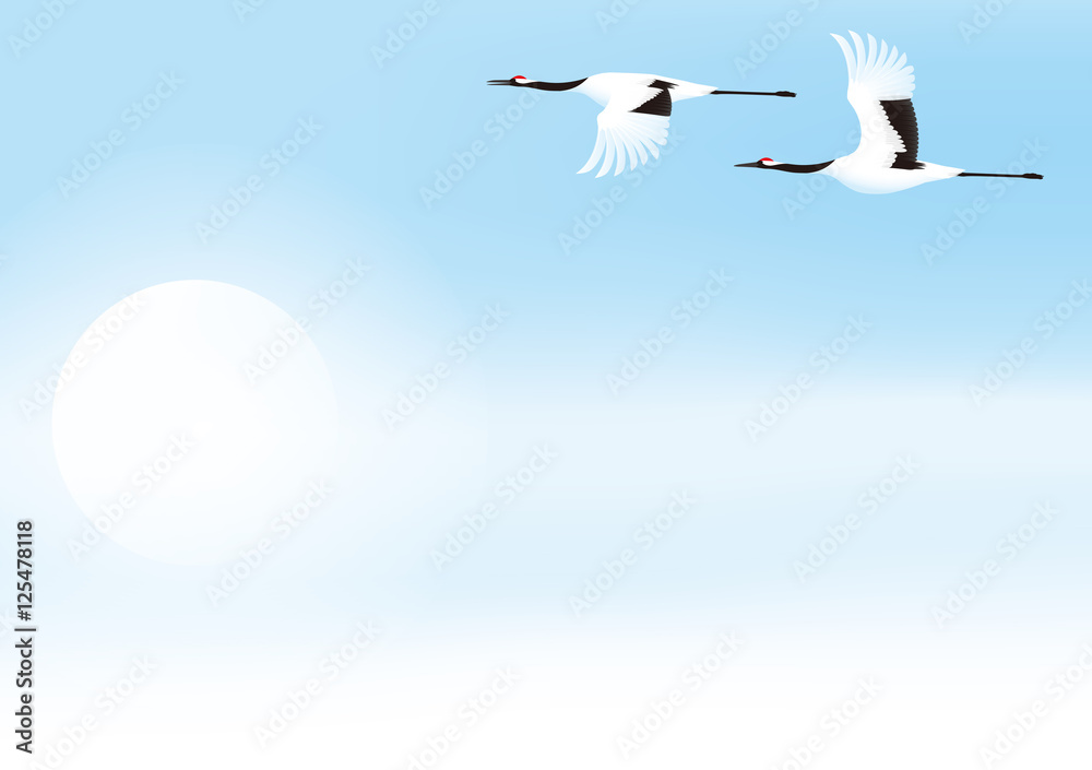 Obraz premium 太陽と鶴 日本の風景