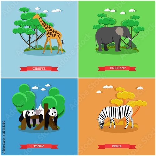 Zoo concept banner. Wildlife animals. Vector illustration in flat style design. Giraffe  Zebra  Elephant  Panda bear