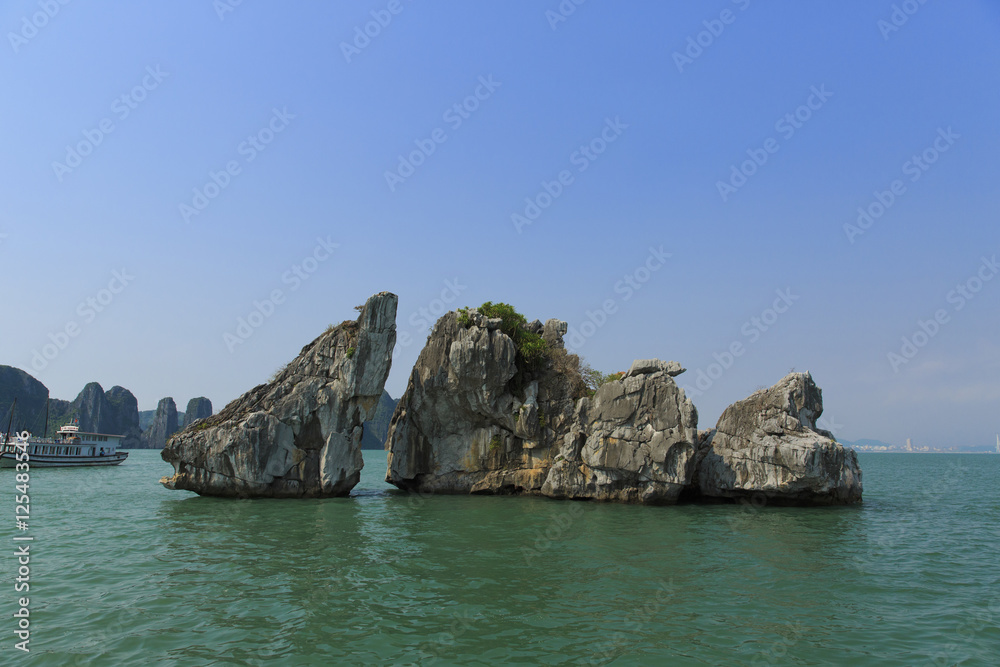 ベトナムの世界遺産ハロン湾の有名な岩