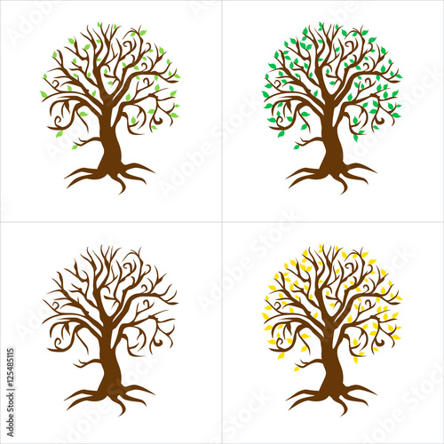 albero quattro stagioni