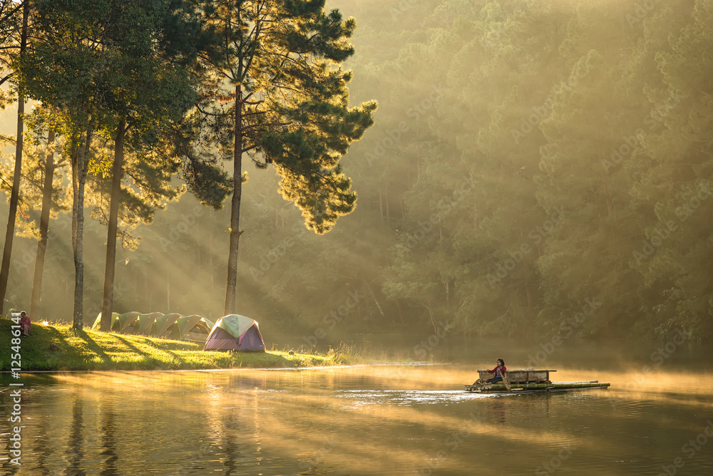 Fototapeta premium Lighting In the winter morning, Pang Ung Forestry Plantations, Mae Hong Son Province, North of Thailand.