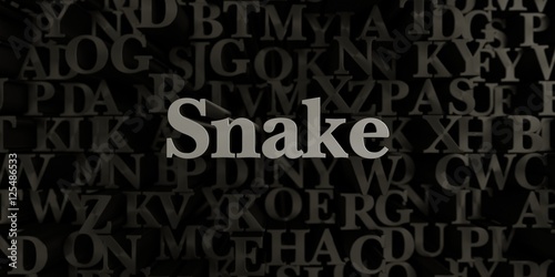 Snake - Stock image of 3D rendered metallic typeset headline illustration. Can be used for an online banner ad or a print postcard.