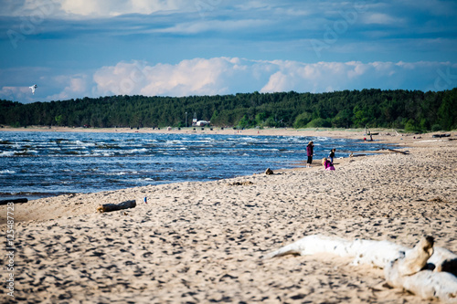 comfortable beach of the baltic sea with rocks and green vegetat