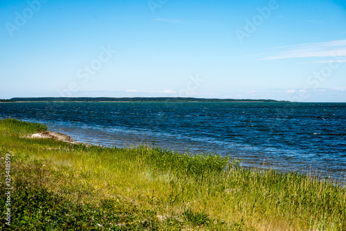 comfortable beach of the baltic sea with rocks and green vegetat