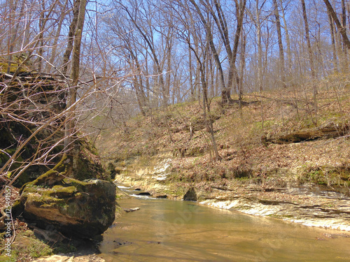 611-100 Big Pine Creek in Spring
