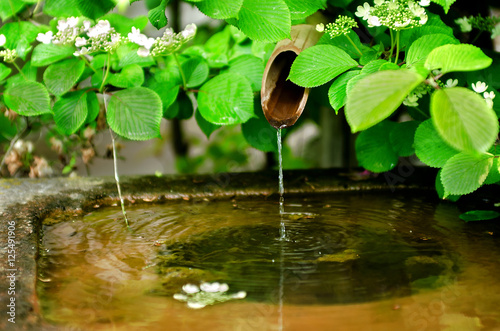Bamboo water fountain as one of major component in traditional J
