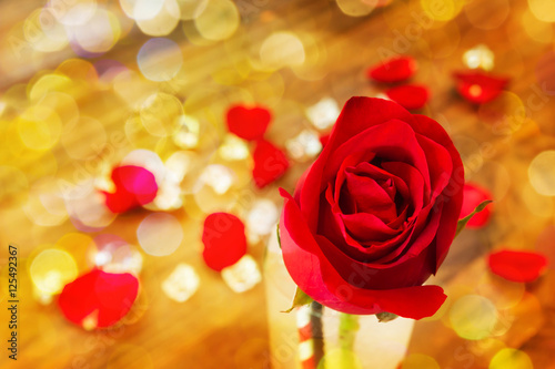 Romantic red rose valentine love theme with golden bokeh © kazitafahnizeer