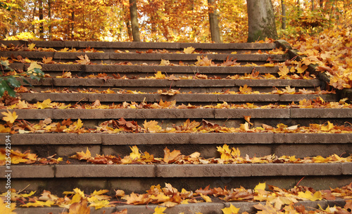 Belaubte Steintreppe im Herbst 