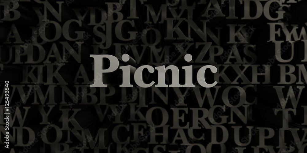 Picnic - Stock image of 3D rendered metallic typeset headline illustration.  Can be used for an online banner ad or a print postcard.