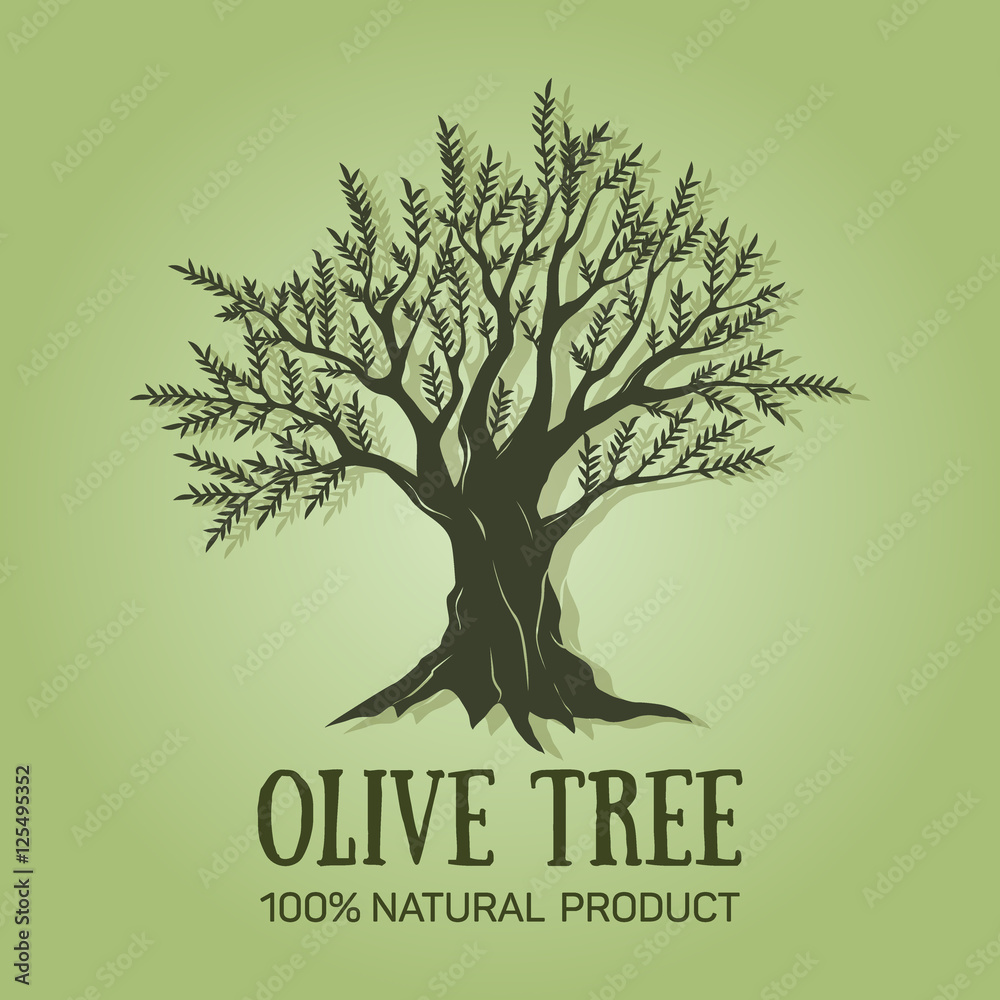 Fototapeta premium Hand drawn graphic olive tree. Vector illustration. Olive tree logo design used for advertising olives, olive oil, natural olive products premium quality.