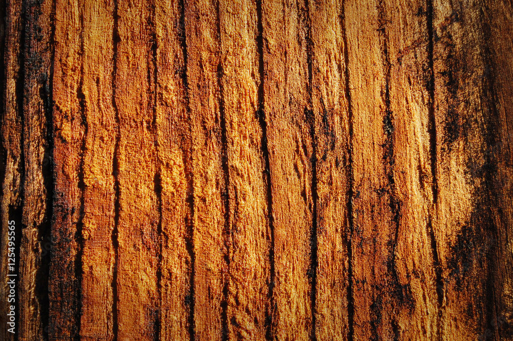 Obraz premium Wooden texture. vintage weathered wood background for design