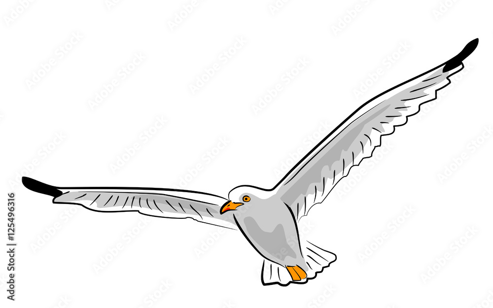 fliegende moewe Stock Illustration | Adobe Stock