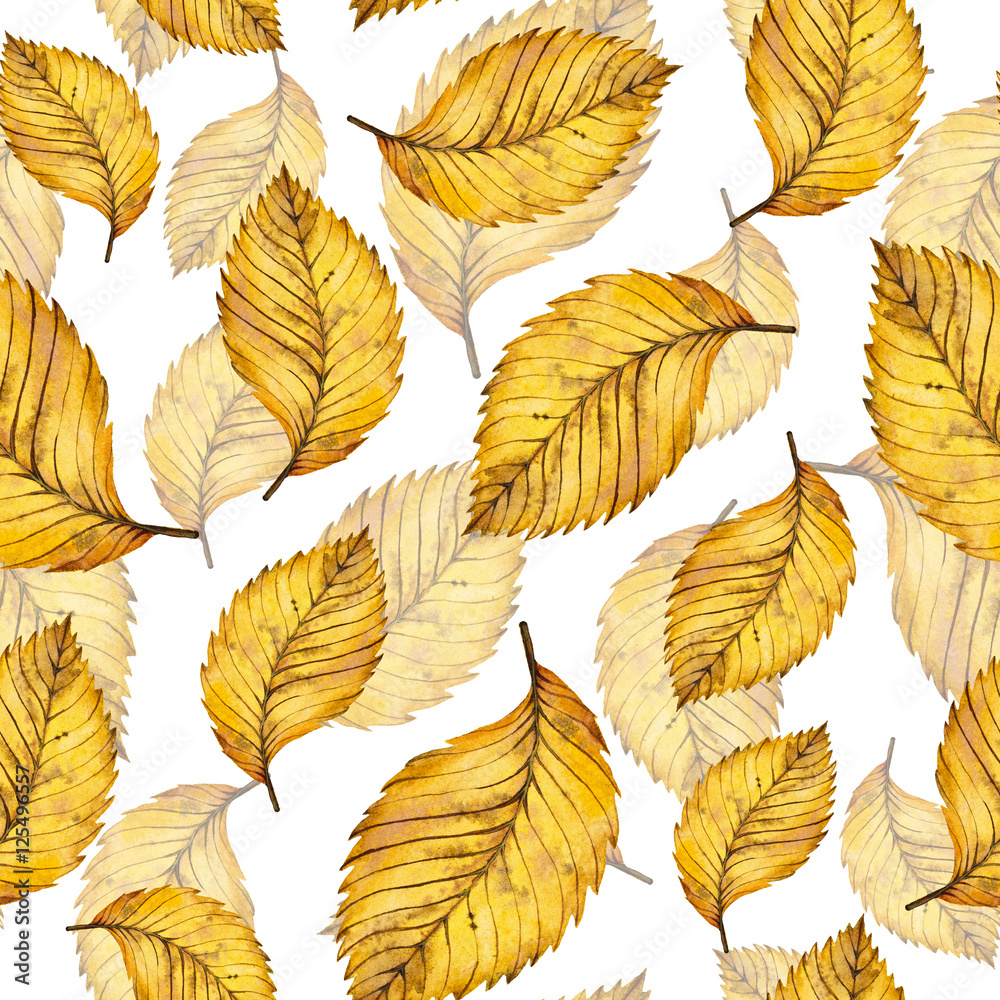 Watercolor autumn yellow leaves seamless pattern of elm, hand painted watercolour autumn background of falling leaf elm, design for fabric, textile, wrapping paper, card, invitation, wallpaper, web
