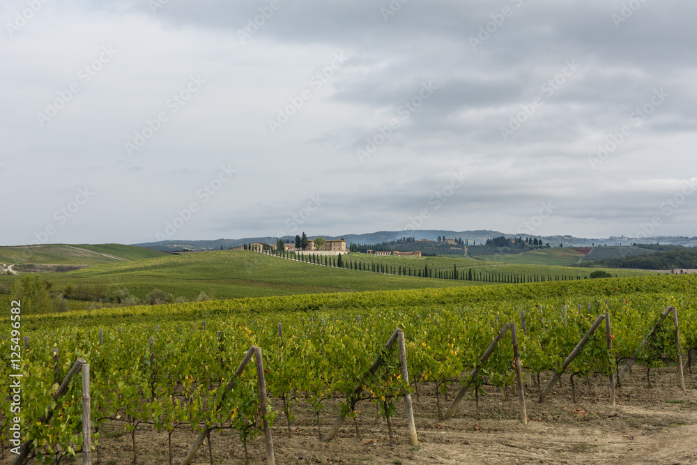 Fototapeta premium Inizio D'autunno