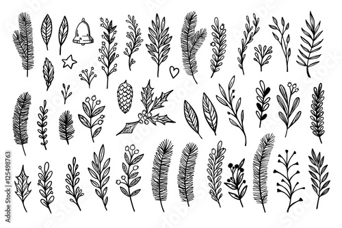 Hand sketched vector vintage elements ( laurel, frame, leaf, pointsettia)