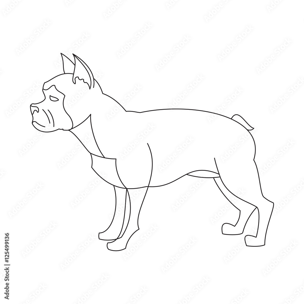 French bulldog linear