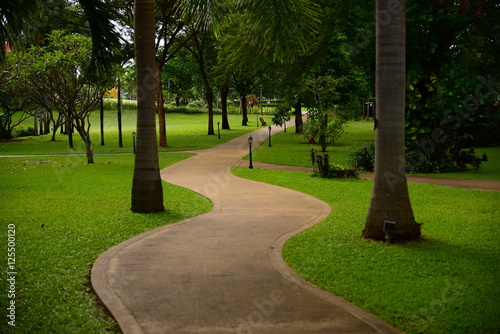 Walkway or footpath in the tree garden