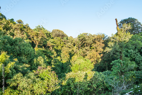 The view from Methanidonnoppha stupa in Inthanon national park