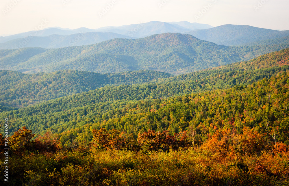 Fototapeta premium Shenandoah National Park