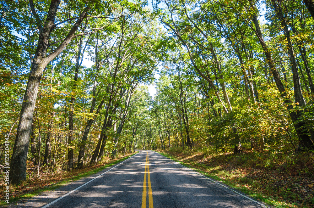 Fototapeta premium Shenandoah National Park