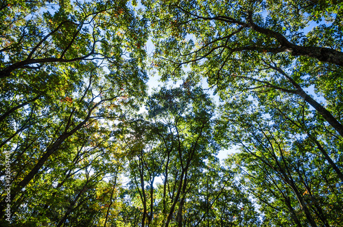 Shenandoah National Park