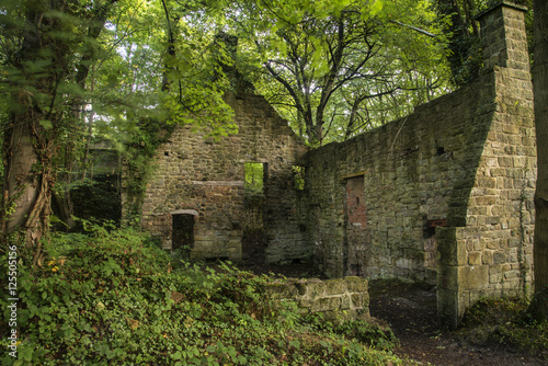 Spooky old ruined derelict building in thick forest landscape
