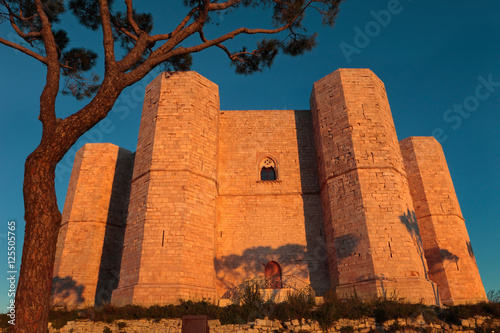Canvastavla Castel del Monte in a beautiful sunset light, Unesco World Heritage Site of Apul