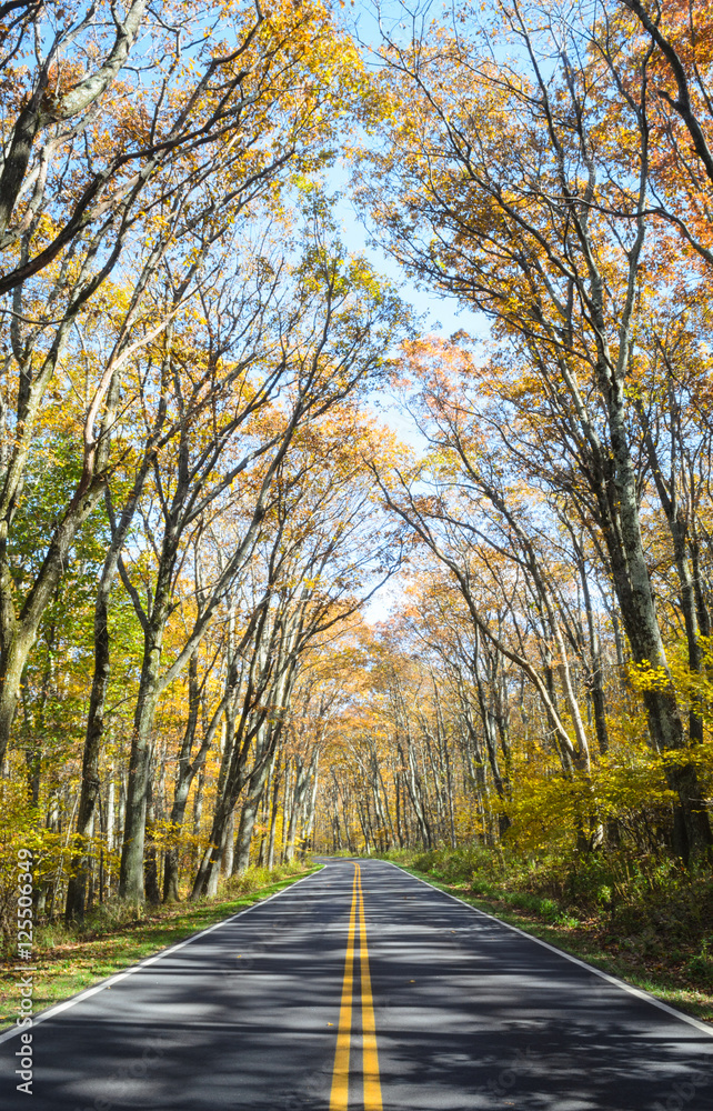 Shenandoah National Park