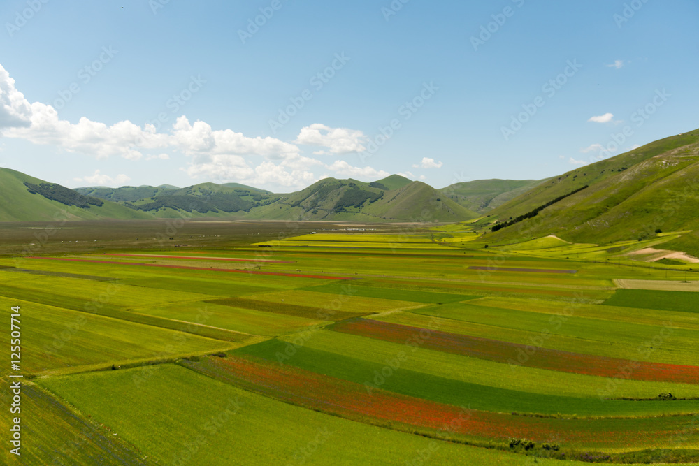 Castelluccio di Norcia Castelluccio di Norcia