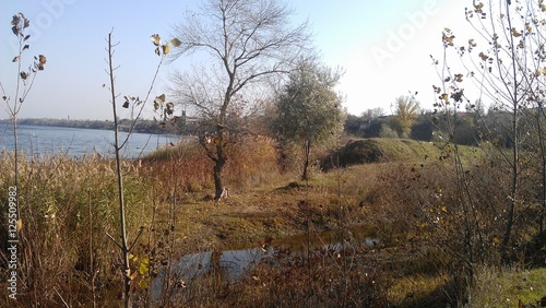 River, autumn, village, house
