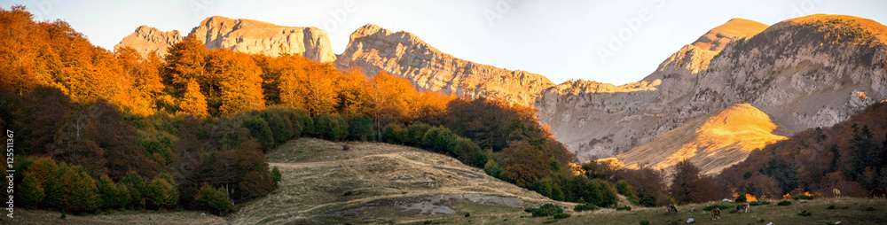 Autumn landscape in the Pyrenees in Spain. 