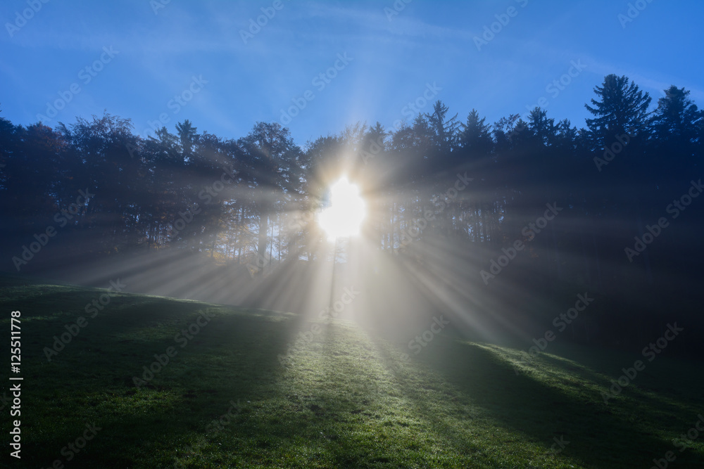 Fototapeta premium Nebel in der Natur mit Sonne