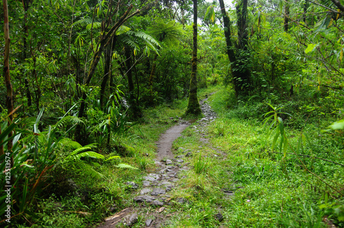 La R  union - Chemin     Grand   tang