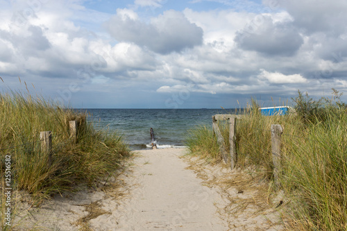 Fototapeta Naklejka Na Ścianę i Meble -  Dünenweg zum Strand in Heiligenhafen, Schleswig-Holstein