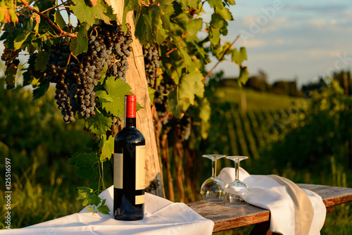 Weinprobe im herbstlichen Abendlicht in der Toskana photo