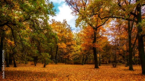 Time lapse - evening in the autumn park. Katowice, Poland.