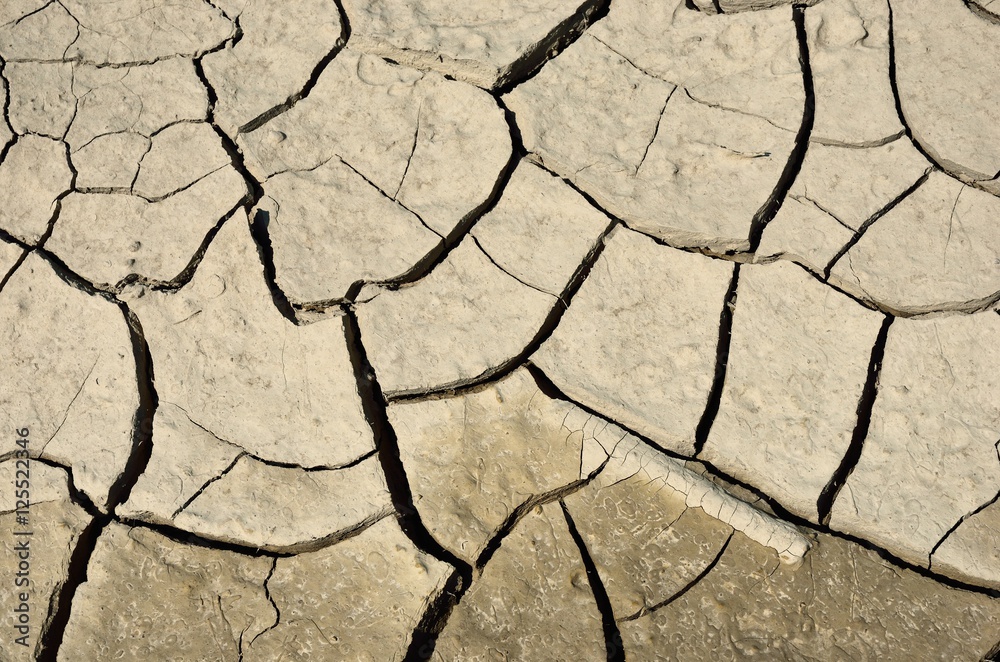 Obraz premium The texture of the dirt road, dry cracked earth.